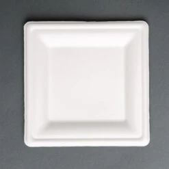 Assiettes Carrées Compostables 204mm - Lot De 50 - FC519 - Fiesta