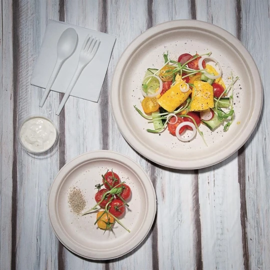 Assiettes Rondes Compostables 260mm - Durabilité Accrue - Réf. FC545 - Fiesta 8 Assiettes Rondes Compostables 260mm - Durabilité Accrue - Réf. FC545 - Fiesta – Image 6