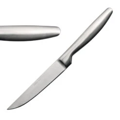 Couteau à Steak Comas Satin - 224mm De Longueur - Réf. CS519 - Comas