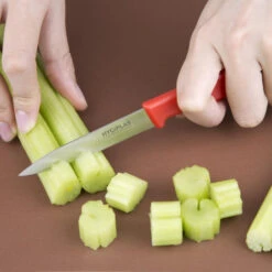 Couteau D'office Hygiplas Rouge 75mm - Qualité Professionnelle - Réf. C542 - Hygiplas -Materiel Horeca Magasin couteau d office hygiplas rouge 75mm 3