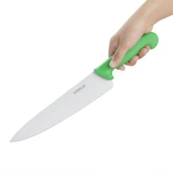 Couteau De Cuisinier Hygiplas Vert - Lame 255mm - Réf: C868 - Hygiplas -Materiel Horeca Magasin couteau de cuisinier hygiplas vert 255mm 1