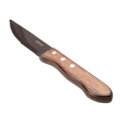 Couteaux à Steak Churrasco Premium - Lame 25 Cm - DY413 - Comas 7 Couteaux à Steak Churrasco Premium - Lame 25 Cm - DY413 - Comas -Materiel Horeca Magasin couteaux a steak churrasco comas 25 cm x6 2
