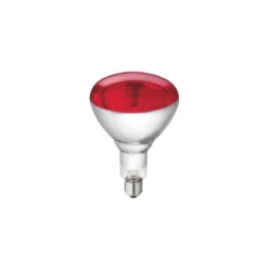 Lampe Chauffante Separee - 250w Pour Lampes Chauffantes Linum - LSH-9101-070 - Linum