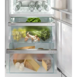 Réfrigérateur Encastré Avec BioFresh - IRBbi 4050-22 - Prime 11 Réfrigérateur Encastré Avec BioFresh - IRBbi 4050-22 - Prime -Materiel Horeca Magasin refrigerateur encastre avec biofresh irbbi 4050 22 prime 3